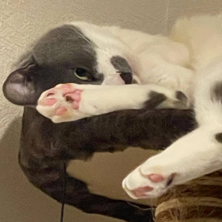 D1369514 c450 4782 a86f c462b61be6ea 1719586582283