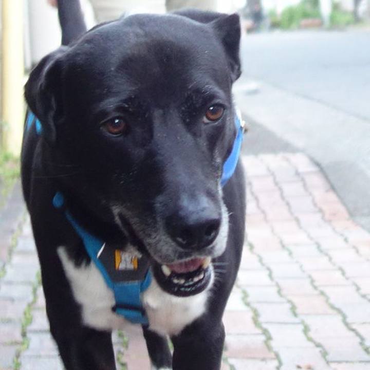 D136bf0e 7bb7 4843 b1b8 782c4d66dc40 1685790800239