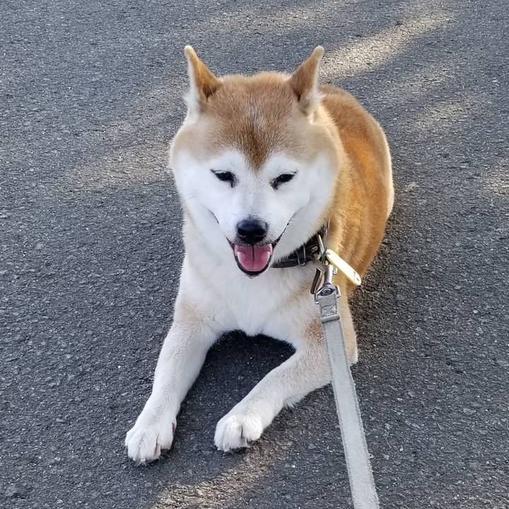 D136d603 82bf 44df a098 165dfc6cd586 1632897891361