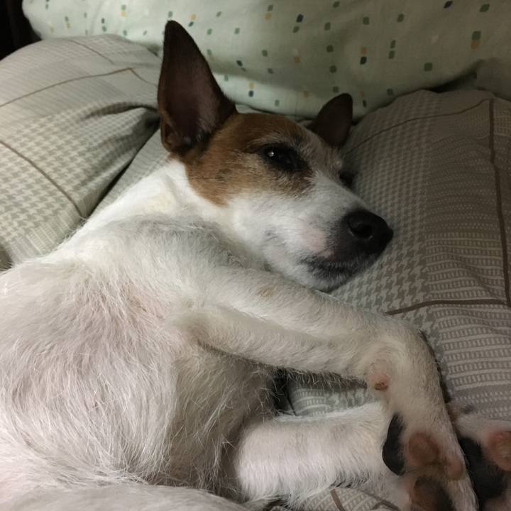 D136e5ca 0719 4001 a8e1 3c5978db5fe3 1556232404407