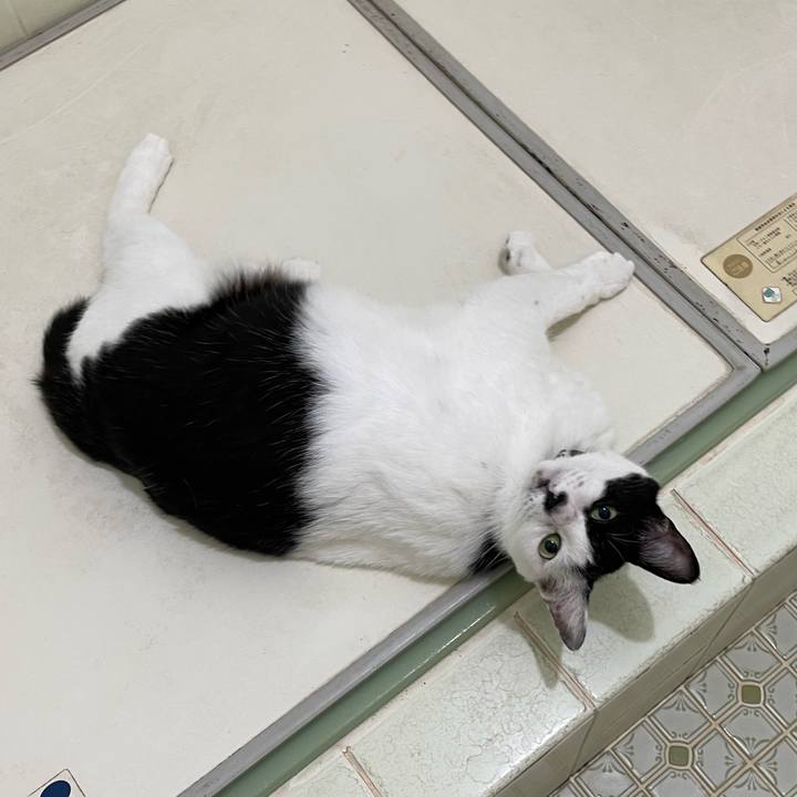 D1372e07 bf06 43ef a68c 77e1d81af849 1759272565380