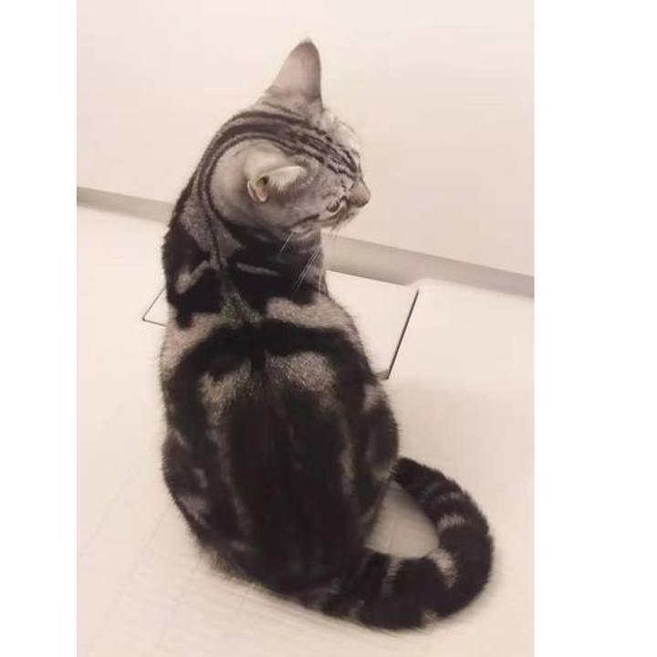 D1374840 b36b 44c1 8c09 f844f8b51979 1576105462045