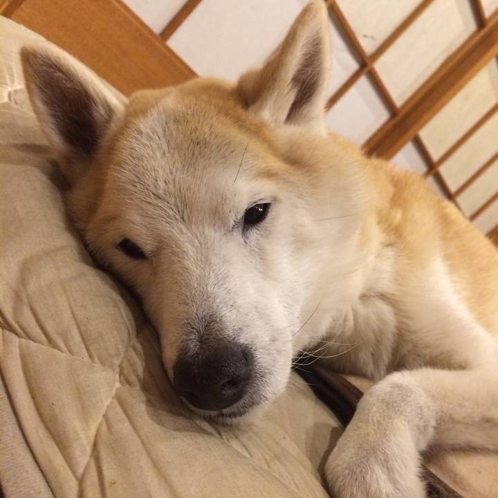 D13750c7 e4a8 4419 a0a4 2a7f5ea045cd 1586181970869