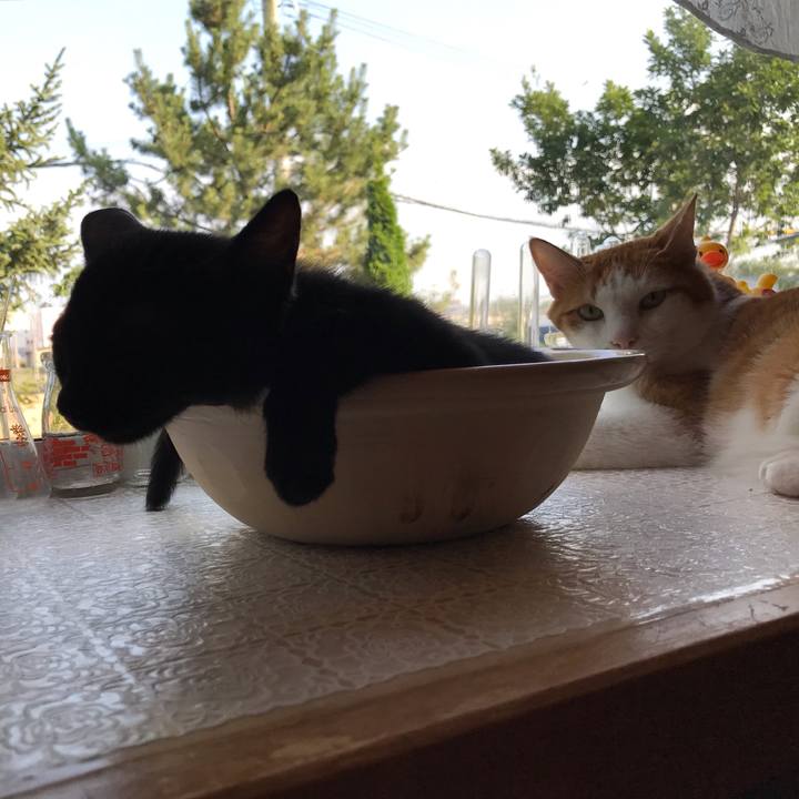 D1376bb9 5049 4a4b 98a4 6a30ec70e198 1565039218991