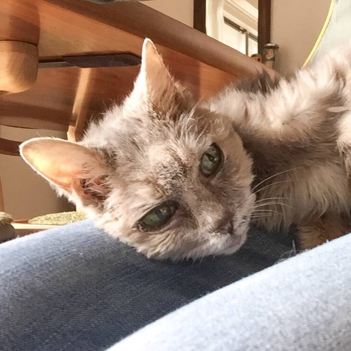 D1377bad 898d 4323 8108 e34d30839fe4 1580014964312