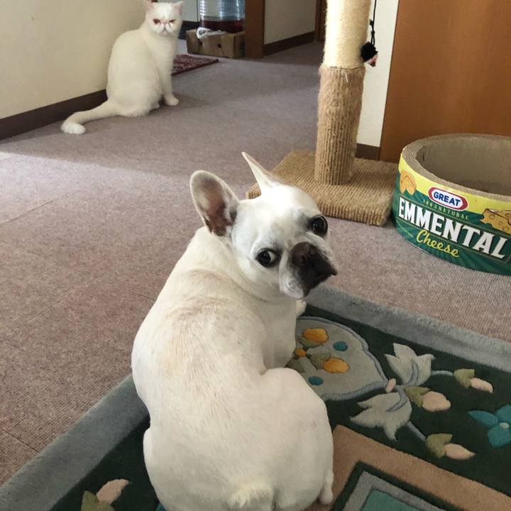 D137c555 49ab 4fb7 840a 75ff7b265850 1621133554130