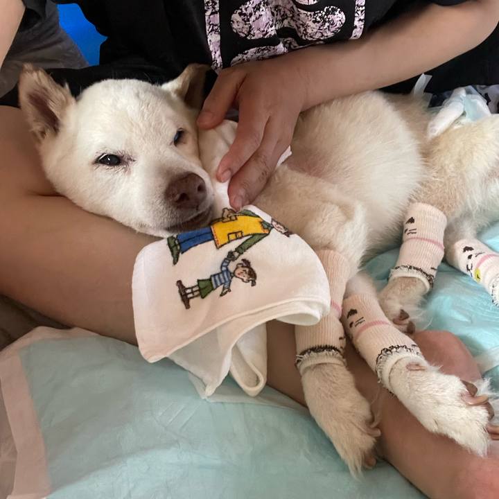 D137d322 b1b1 4706 8607 9588b6814804 1689747657994