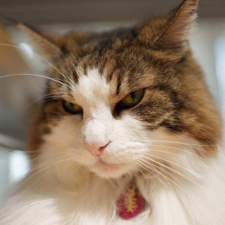 D137e9df e877 4f45 b046 eb238628438b 1726107602097