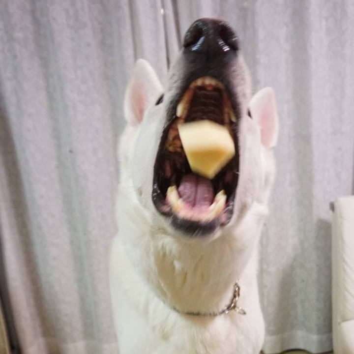 D1380953 de4e 42bd 9743 f11ac105fca8 1564754076518