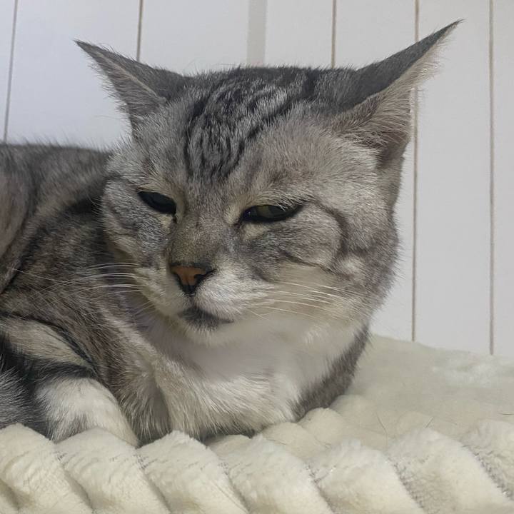 D13811a0 aa38 4387 8224 3fb154637b72 1717713997762