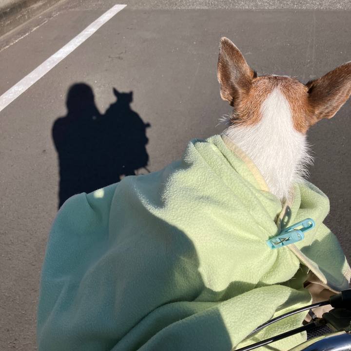 D1381a77 b7f5 45fa 9581 61ced1e36563 1706318585191