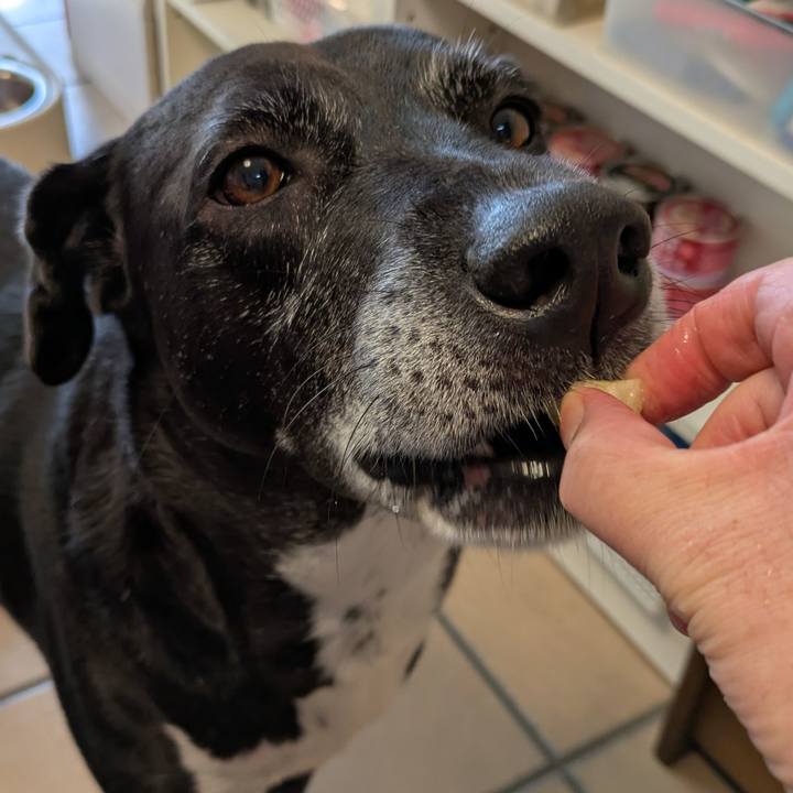 D1383ae9 2554 4ee8 846c 43f74d7bf8a2 1732272298570