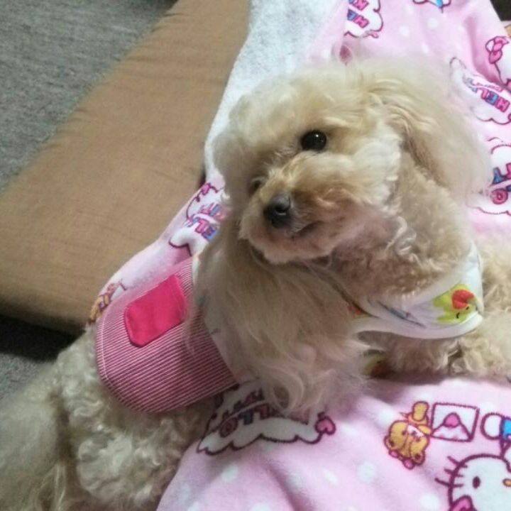 D1388034 8171 4c64 99e6 d6d1225c546d 1531222534177