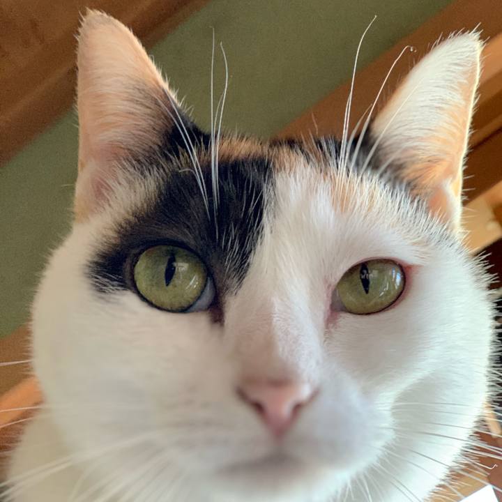 D13881c2 796f 4741 b567 ef0bb0296c0f 1540260751437