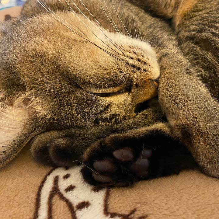 D138c195 8035 4499 8bf2 bb63291dd5ba 1612089544030