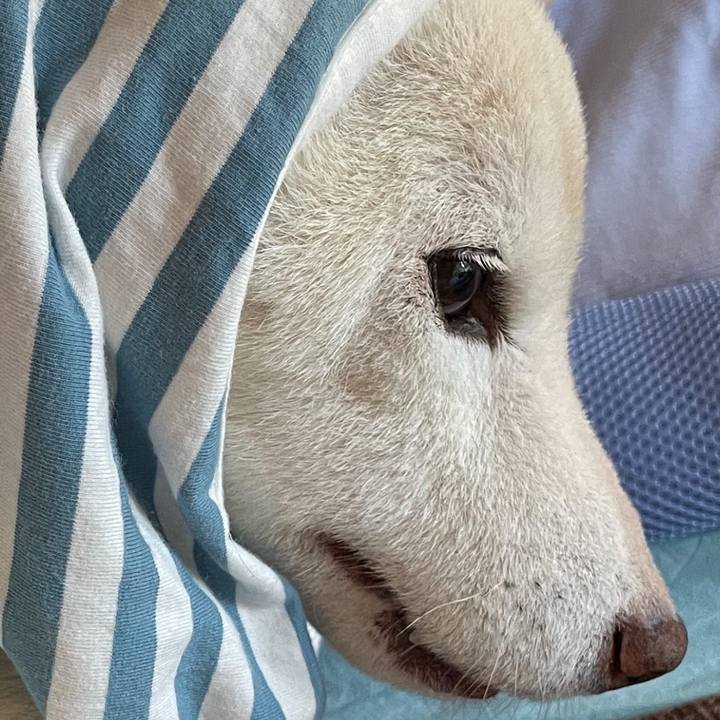 D138c1bc e465 4865 b8cc 2b7eb71f77c8 1667535989585