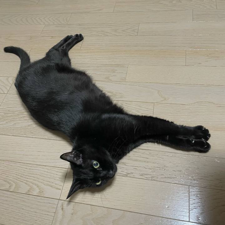 D138c976 35ab 41ba 81fd 4d0dad17aeb8 1757936860641