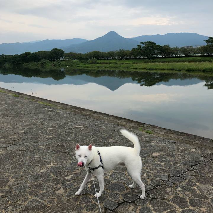 D13906ce f3eb 4b97 bb9d 334863b5c513 1599606111074