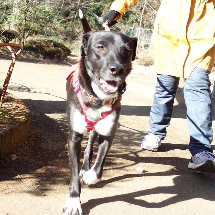 D1390e05 f0c5 4bc0 8d36 9ff5806e5053 1582851270058