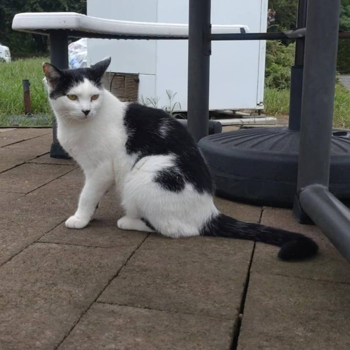 D1390f6f 6e53 46df a6ed 145f5715667c 1757635047048