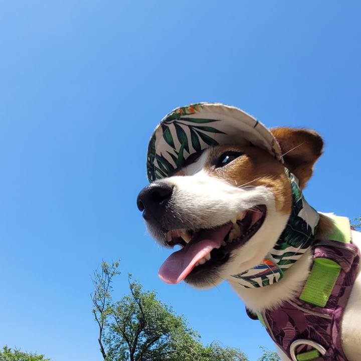 D13932c1 6b1e 4b10 9220 a439295a518f 1720151897423