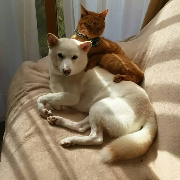 D139b92b a3e7 4caa b02f 42c62f590b0d 1520137414353