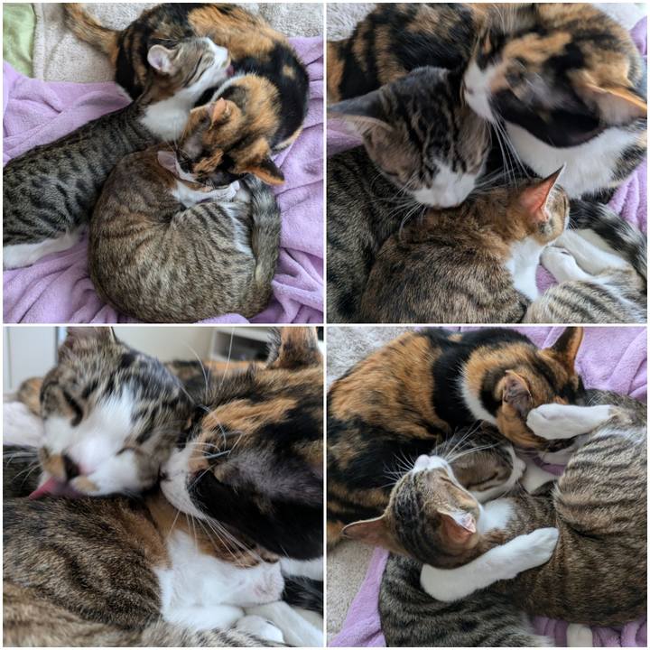 D139c1ec 9f8e 4c33 b49f ee3a434c86c3 1734529439567