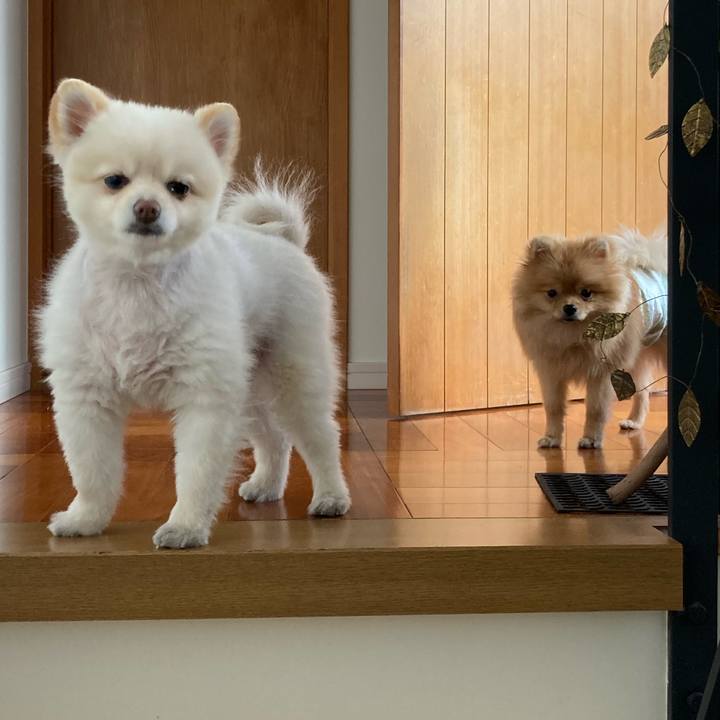 D139cd77 22cf 420e a595 81013baace21 1646870857338