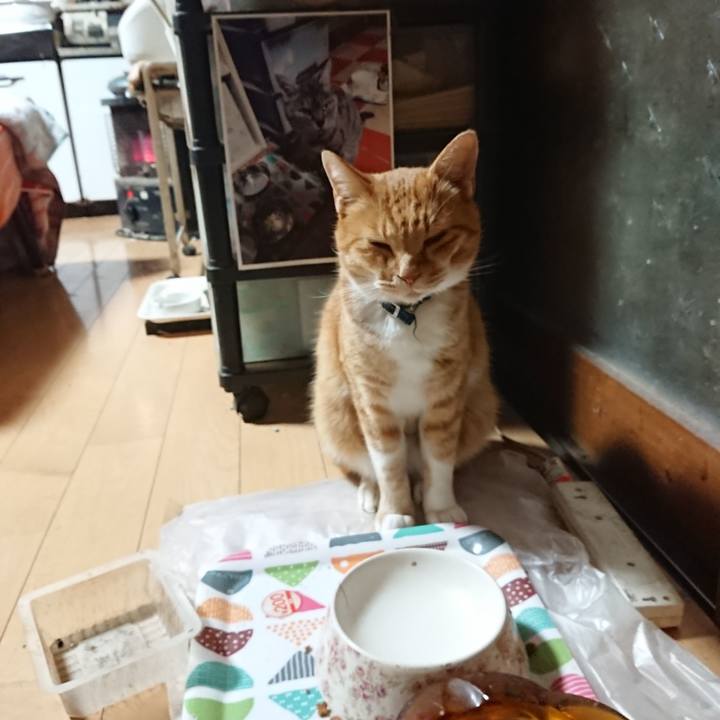 D13a2404 2543 45c7 ad39 2b6381f07874 1605038156439