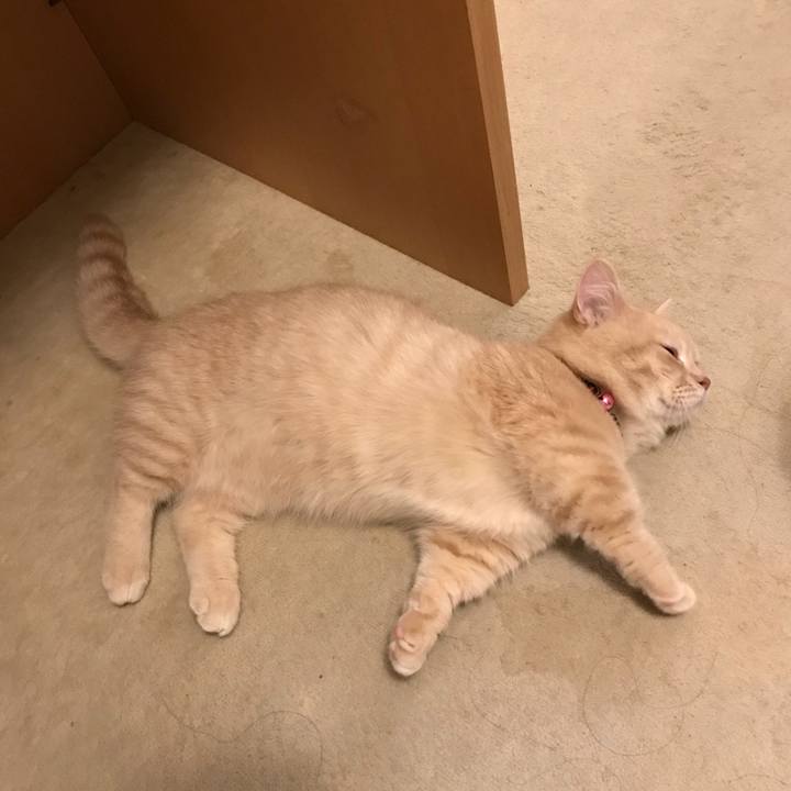 D13a2c7c 1e9d 43fe b3c6 c912339befd1 1519166271045