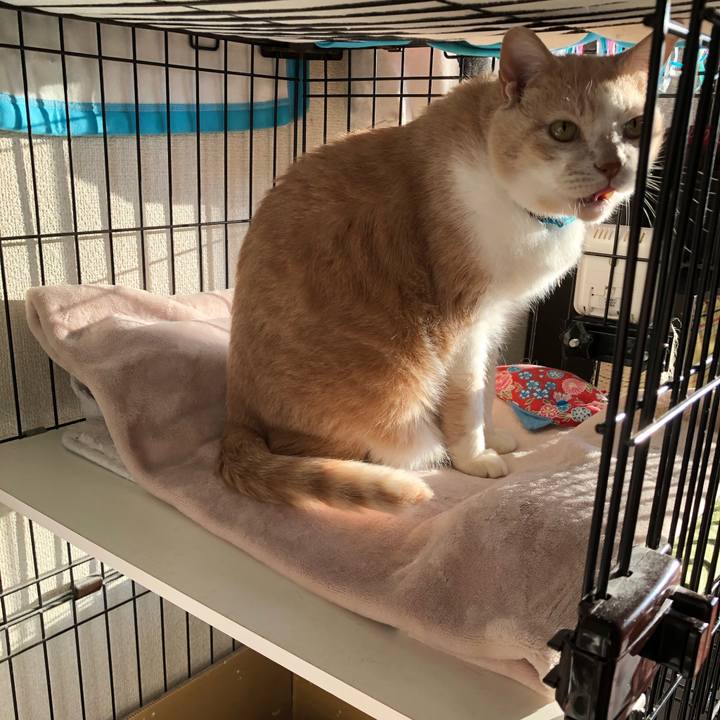 D13a642b f8a4 456a 8a05 adea22a98f43 1613515582594