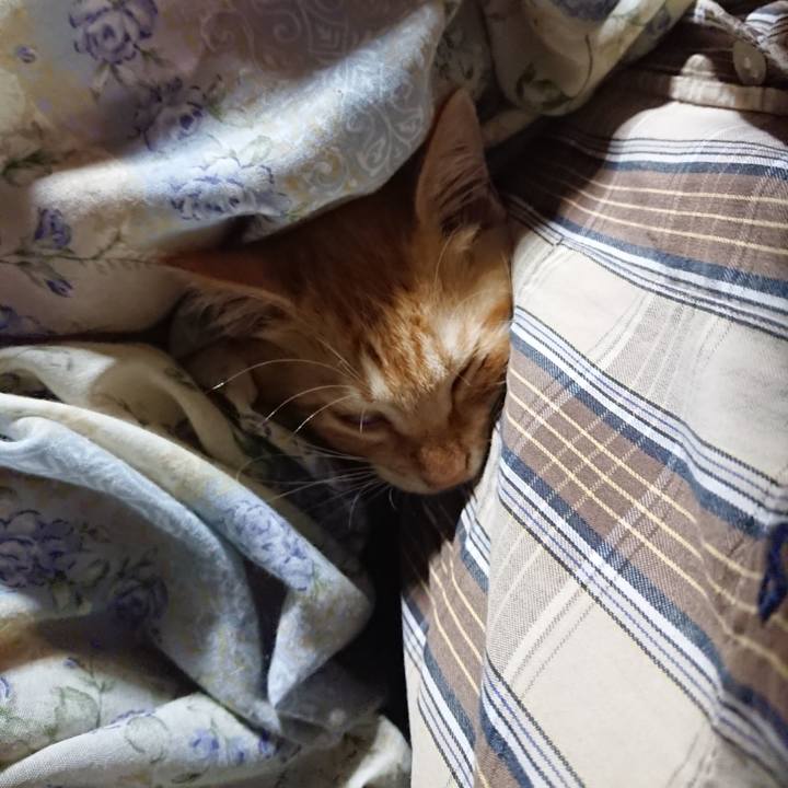 D13a90fa 3f32 443a b37b 0dd26601c9ad 1630845438738