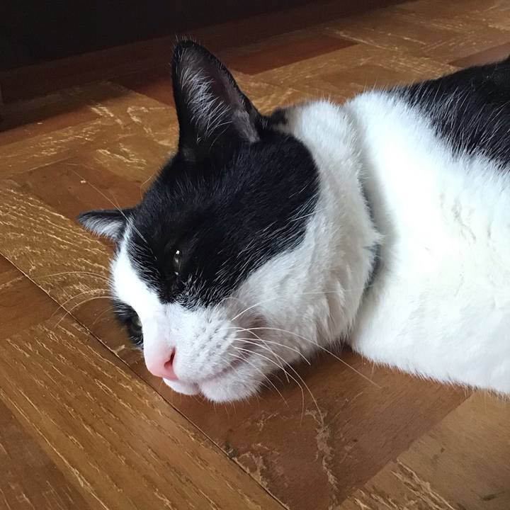 D13ae051 f196 441e 84a7 4f4802f5264a 1720250735921