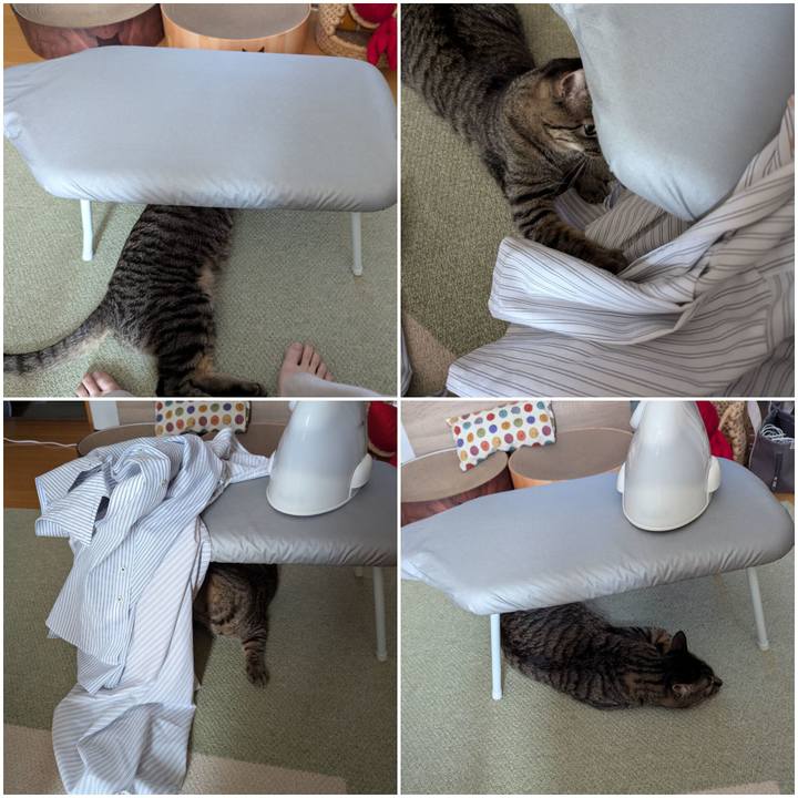 D13ae4e1 209e 4417 8324 b7460e8fbf45 1721646405986