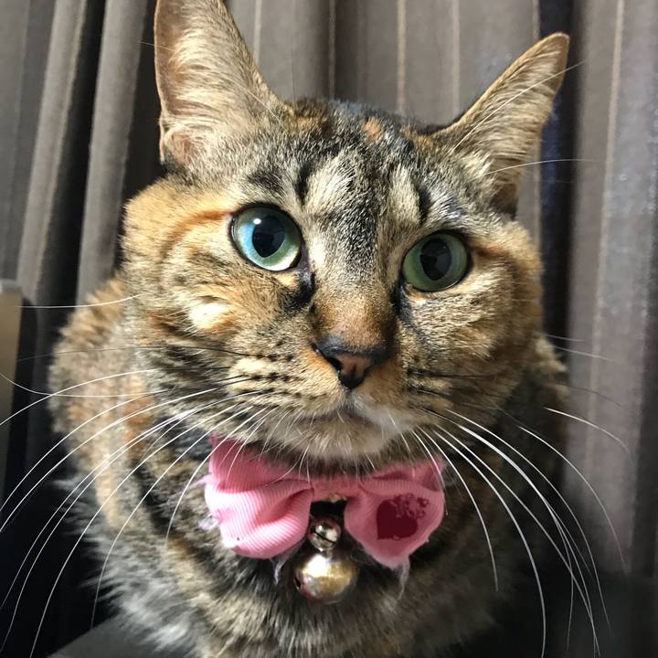 D13b20f2 683f 4f8f 8485 0508e43d9b7a 1515538827148