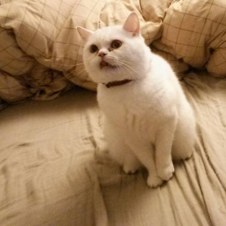 D13b2336 7a78 4449 bfe2 940cfef5032e 1510613824386