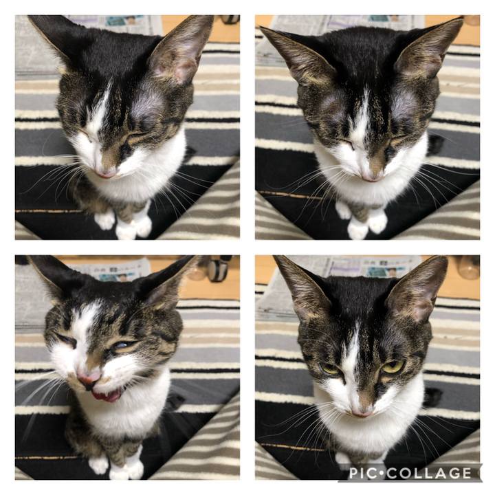 D13b2678 c1b0 48e2 9e08 321801bebf0a 1606510343229