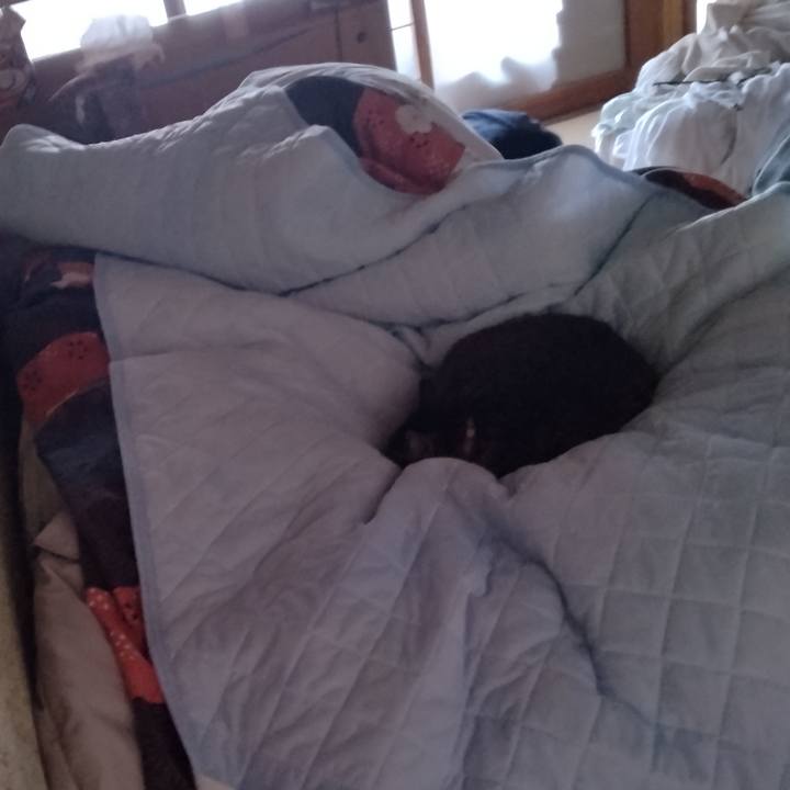 D13b744a 7b2c 4e70 a8e4 b95379739f82 1712957282192