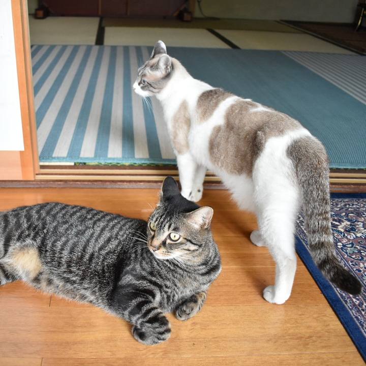 D13b771e 53ed 4d29 bff4 4307fc431f07 1532491719665