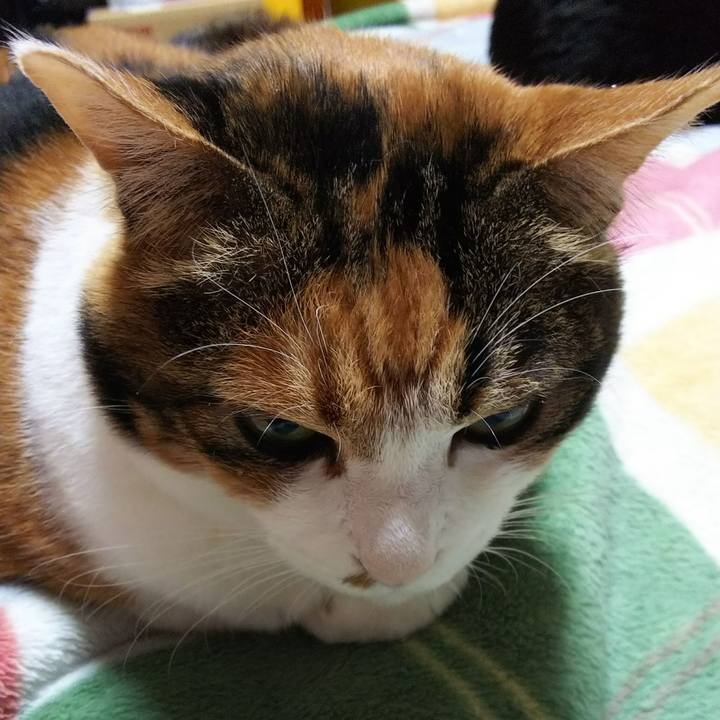 D13b8164 8089 4831 b488 59e270a91451 1541972885266