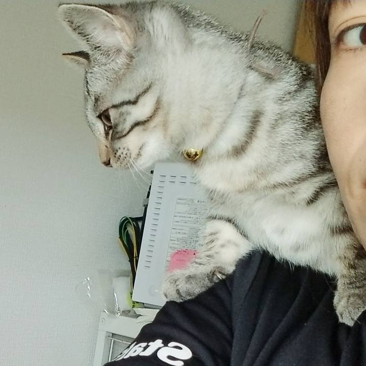 D13bbda5 98c3 416e 8d6c f0540752b8f1 1666184082526