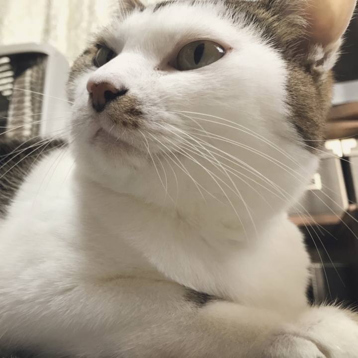 D13bd308 fd6d 4955 9a81 e5ae8b41f97d 1543379263949