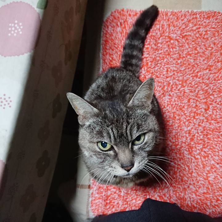 D13bd386 e013 4484 a0c8 5cf00764c818 1553248541142