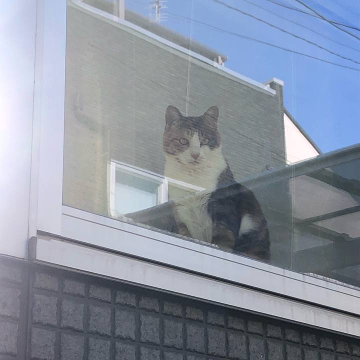 D13bddf2 2100 4a09 949f 0e4c9d2a28fb 1646725624801