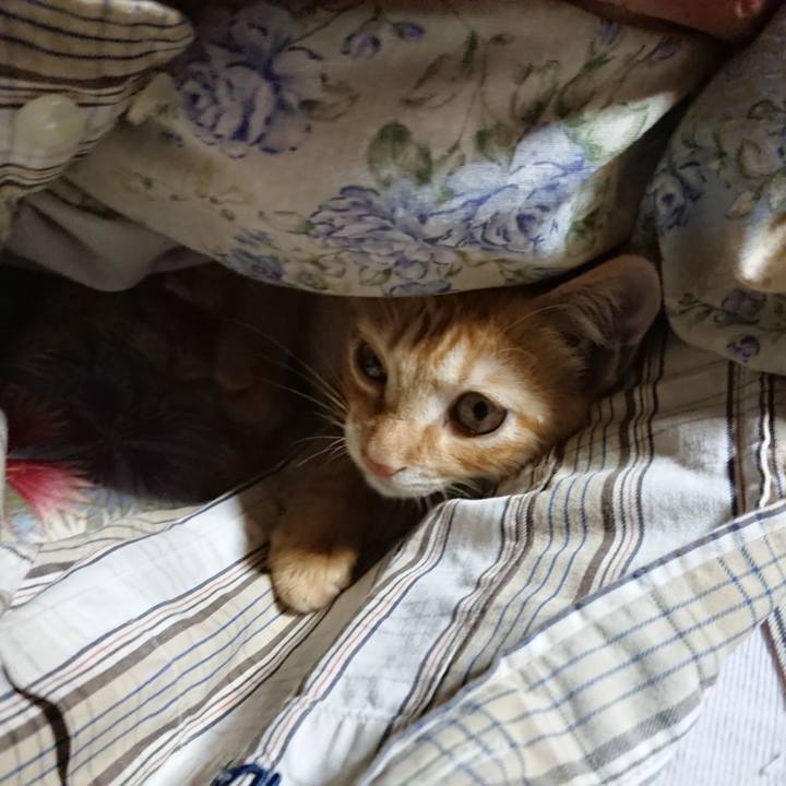 D13c05b3 1f56 498c 9b74 679b564a7bde 1631391810420