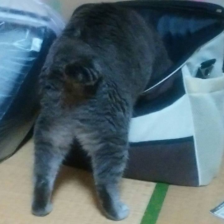 D13c0695 830e 457b 80a6 1302ca192551 1540473474045