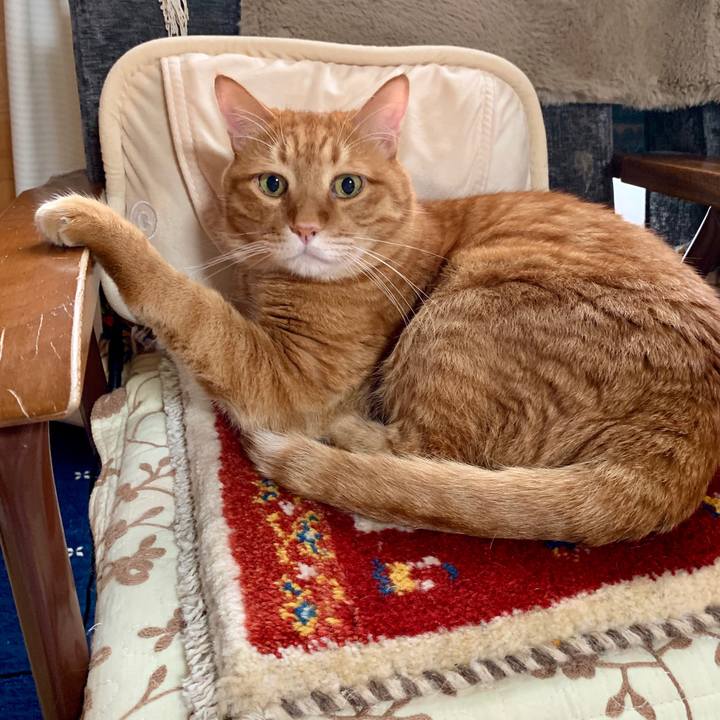 D13c28e9 fc8c 4718 a615 40e7e5486034 1569202733477