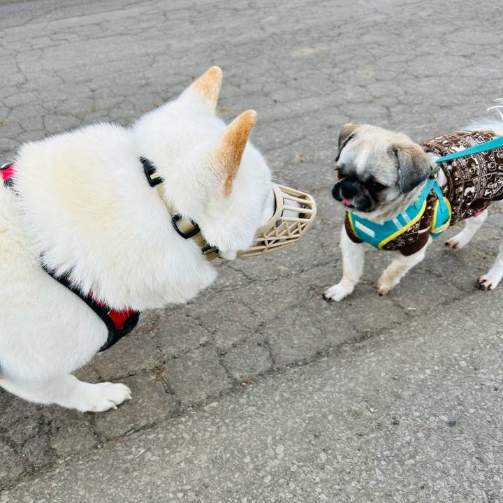 D13c95cf f23b 40c7 94dc d7b91cd8bc0f 1702164693462