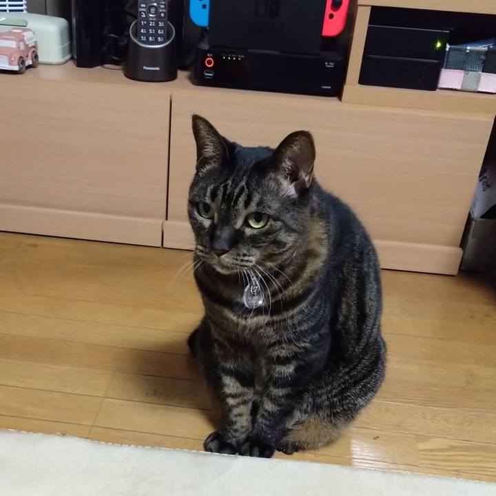 D13ca26b 82de 4bdf 87fa 96930151065f 1769170733261