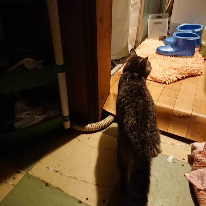 D13cad71 f38c 4229 81bb 0ab2ae3b14bc 1580288815808